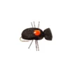 Fulling Mill Shop Flies Quick Sight Beetle 1 Fulling Mill Shop Flies Quick Sight Beetle