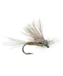 Umpqua E/C Caddis - Olive Shop Flies
