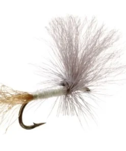 Umpqua Shop Flies Blue Ribbon Cripple PMD