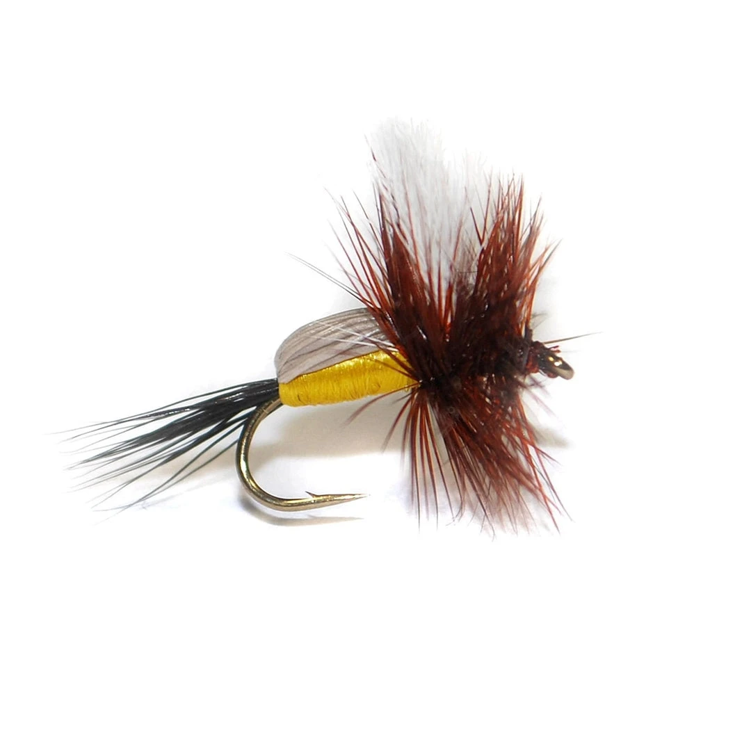 Umpqua Shop Flies Royal Yellow Humpy 3 Umpqua Shop Flies Royal Yellow Humpy