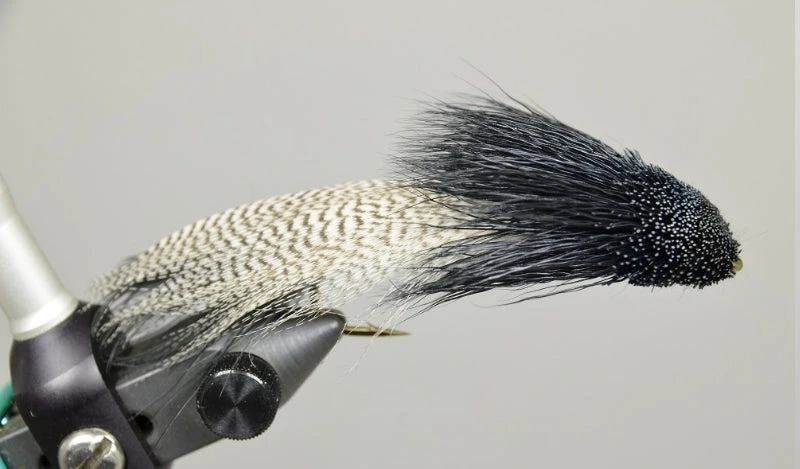 MFC Galloup's Zoo Cougar - Black 3 MFC Galloup's Zoo Cougar - Black