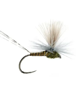 Fulling Mill LEXI'S GET 'ER DUN MAY BWO BARBLESS