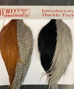 Whiting Cape Hackle Starter Pack