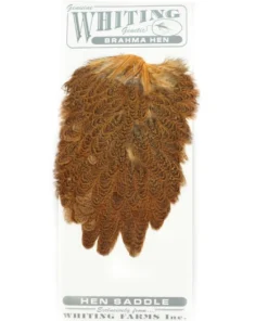 Whiting Brahma Hen Saddle