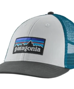 Patagonia P-6 LoPro Trucker Hat Hats