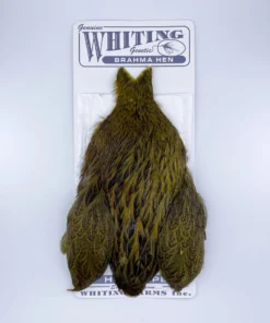 Whiting Brahma Hen Cape For Soft Hackles 21 Whiting Brahma Hen Cape For Soft Hackles