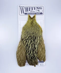Whiting Brahma Hen Cape For Soft Hackles 17 Whiting Brahma Hen Cape For Soft Hackles