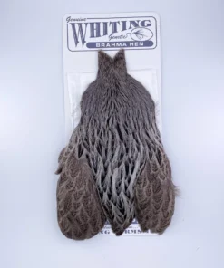 Whiting Brahma Hen Cape For Soft Hackles