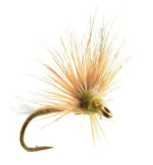 Umpqua Shop Flies Improved Sparkle Dun Baetis 3 Umpqua Shop Flies Improved Sparkle Dun Baetis