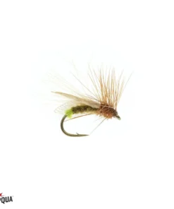 Umpqua Resting Caddis - Olive Shop Flies
