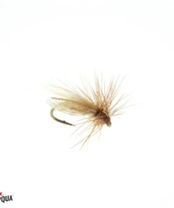 Umpqua Resting Caddis - Olive Shop Flies