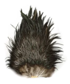 Hackle Whiting 4B Schlappen/Bugger Saddle
