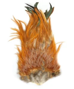 Hackle Whiting 4B Schlappen/Bugger Saddle