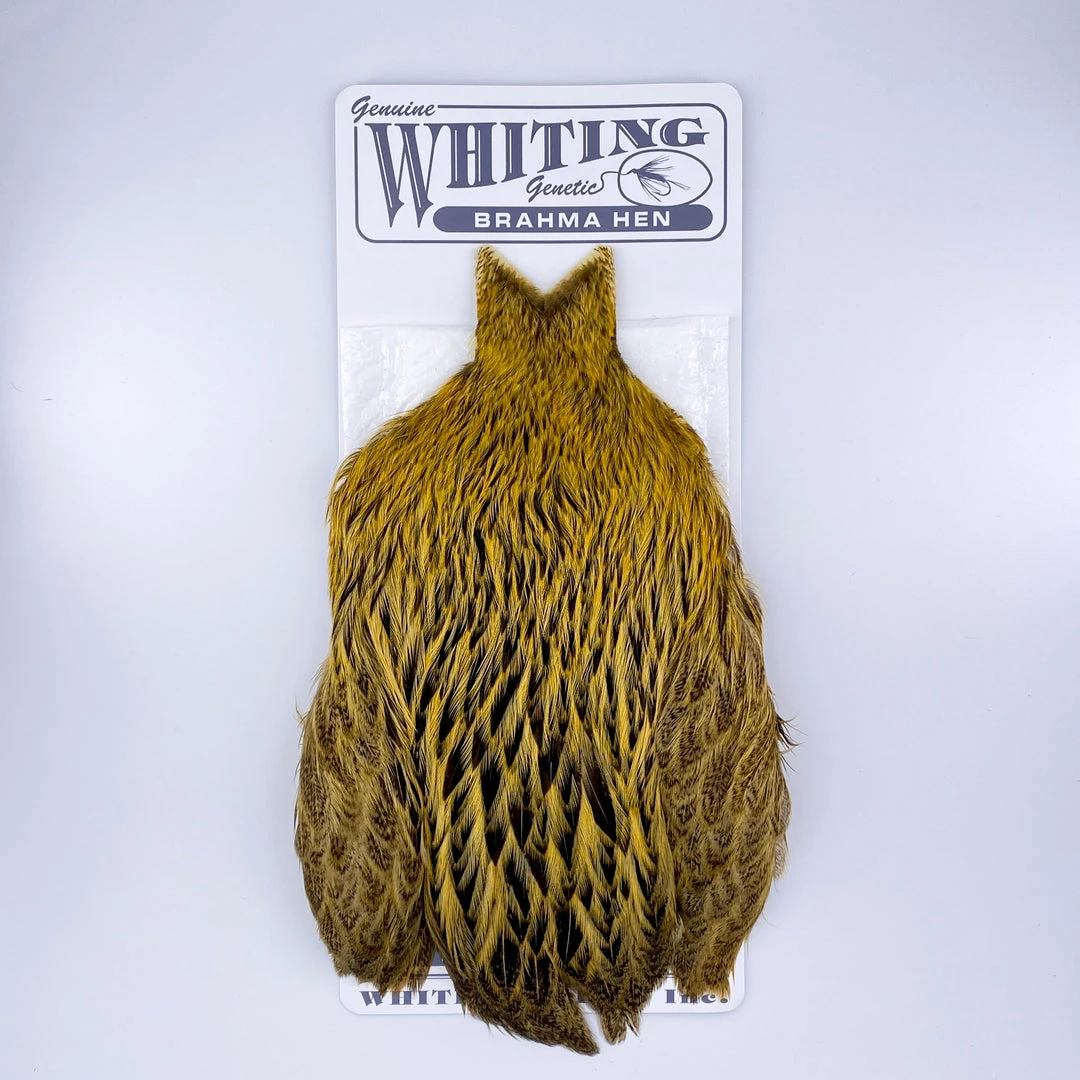 Whiting Brahma Hen Cape For Soft Hackles 12 Whiting Brahma Hen Cape For Soft Hackles