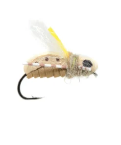 Fulling Mill Unsinkabeetle Tan