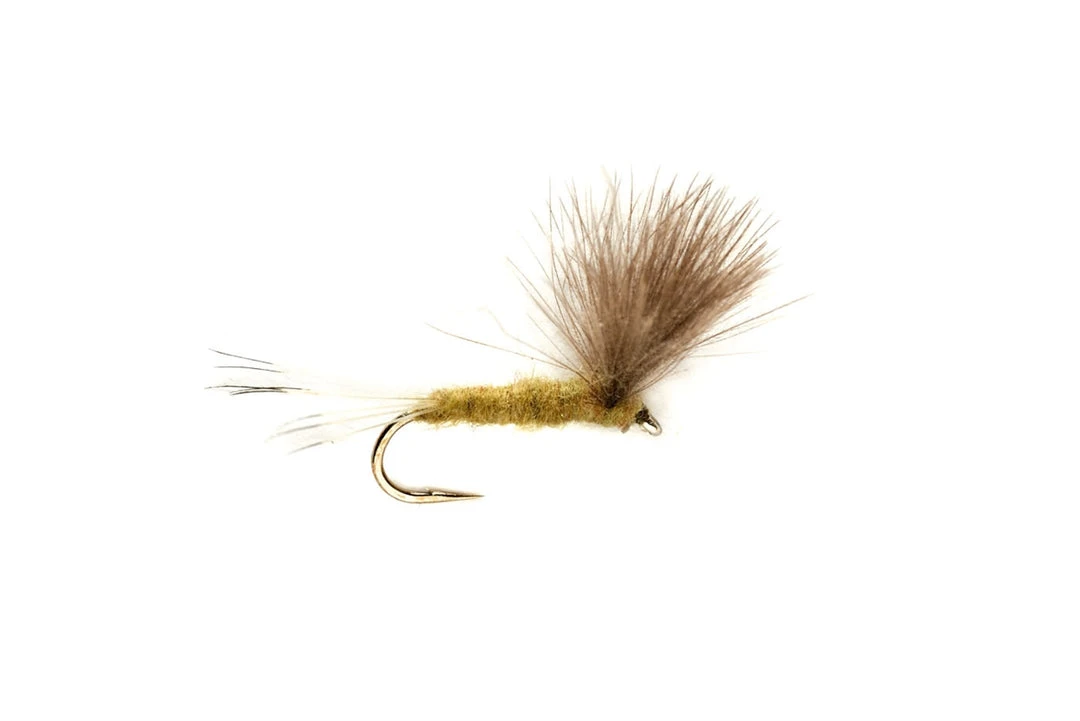 Fulling Mill Shop Flies Compara Olive CdC 3 Fulling Mill Shop Flies Compara Olive CdC