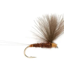 Fulling Mill V Wing Mahogany