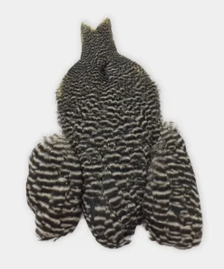 Whiting Winger Cape Hackle