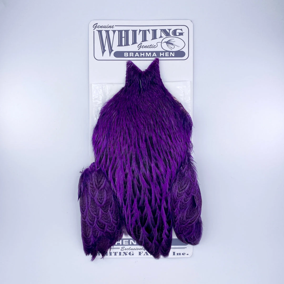 Whiting Brahma Hen Cape For Soft Hackles 7 Whiting Brahma Hen Cape For Soft Hackles