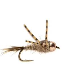 Fulling Mill Arizona Hare Light