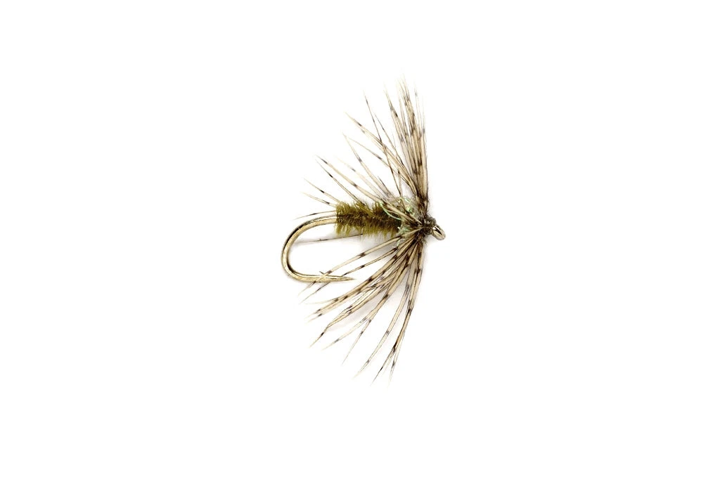 Fulling Mill Shop Flies Sparkle Soft Hackle Light Olive 3 Fulling Mill Shop Flies Sparkle Soft Hackle Light Olive