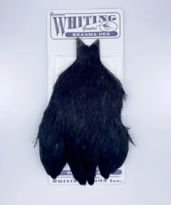 Whiting Brahma Hen Cape For Soft Hackles 19 Whiting Brahma Hen Cape For Soft Hackles