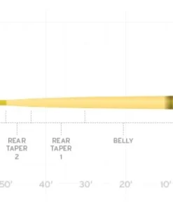 Scientific Anglers Amplitude Smooth Infinity Taper Fly Line - Standard