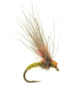 Umpqua Antonio's Emerger PMD