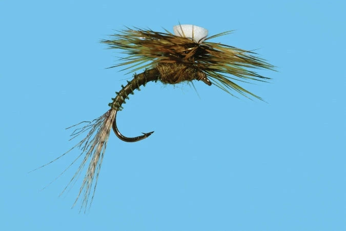 Solitude Shop Flies Brook's Sprout - Flavilinea 3 Solitude Shop Flies Brook's Sprout - Flavilinea