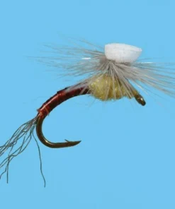 Solitude Brook's Sprout - PMD