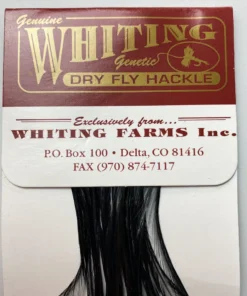 Whiting 100 Pack Dry Fly Hackle - Black - 14