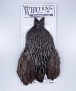 Whiting Brahma Hen Cape For Soft Hackles 16 Whiting Brahma Hen Cape For Soft Hackles