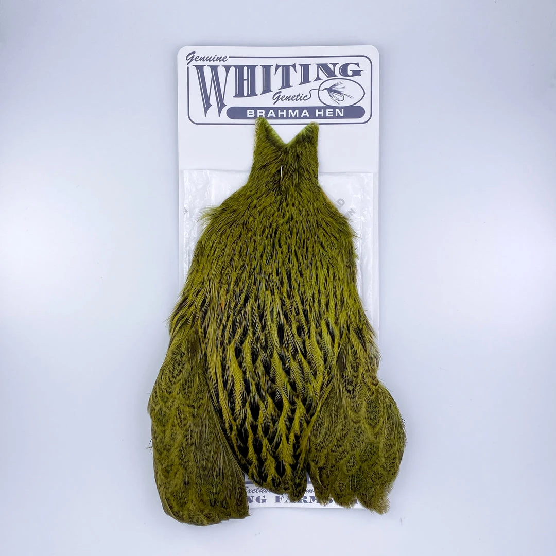 Whiting Brahma Hen Cape For Soft Hackles 14 Whiting Brahma Hen Cape For Soft Hackles