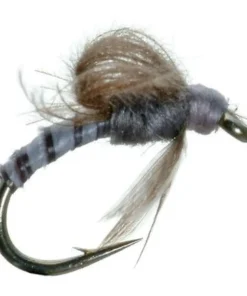 Umpqua CDC Loop Wing Emerger - Gray Shop Flies