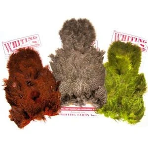Whiting Coq De Leon Soft Hackle With Chickabou 3 Whiting Coq De Leon Soft Hackle With Chickabou