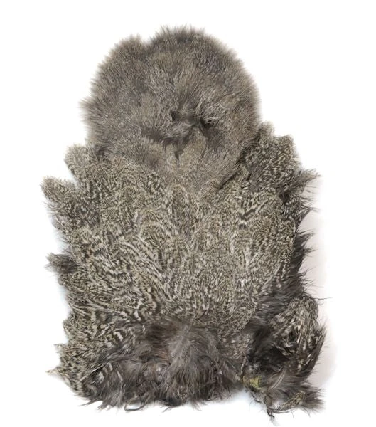 Whiting Coq De Leon Soft Hackle With Chickabou 4 Whiting Coq De Leon Soft Hackle With Chickabou