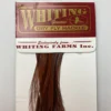 Whiting 100 Pack Dry Fly Hackle - Coachman Brown - 16 1 Whiting 100 Pack Dry Fly Hackle - Coachman Brown - 16