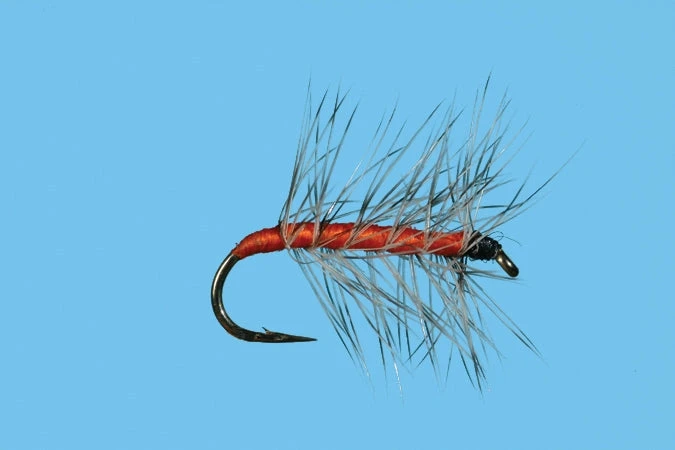 Solitude Orange Asher Shop Flies 3 Solitude Orange Asher Shop Flies