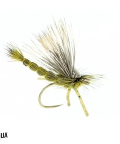 Umpqua Shop Flies DJL Drake - Green