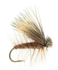 Umpqua Elk Caddis Brown Shop Flies