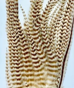 Wapsi Hackle Ewing Wooly Bugger Patch