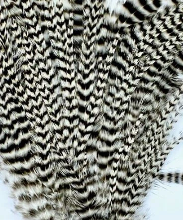 Wapsi Hackle Ewing Wooly Bugger Patch 5 Wapsi Hackle Ewing Wooly Bugger Patch