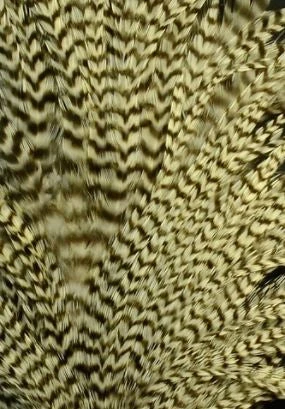 Wapsi Hackle Ewing Wooly Bugger Patch 8 Wapsi Hackle Ewing Wooly Bugger Patch