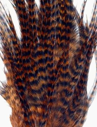 Wapsi Hackle Ewing Wooly Bugger Patch 6 Wapsi Hackle Ewing Wooly Bugger Patch