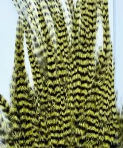 Wapsi Hackle Ewing Wooly Bugger Patch 19 Wapsi Hackle Ewing Wooly Bugger Patch