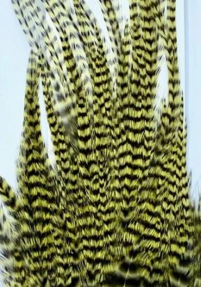 Wapsi Hackle Ewing Wooly Bugger Patch 7 Wapsi Hackle Ewing Wooly Bugger Patch