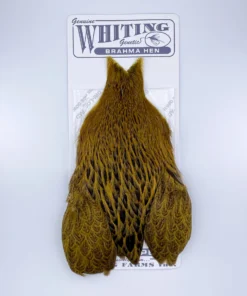 Whiting Brahma Hen Cape For Soft Hackles 22 Whiting Brahma Hen Cape For Soft Hackles
