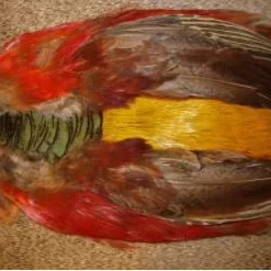 Nature's Spirit Feathers & Marabou Golden Pheasant Skin