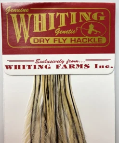 Whiting 100 Pack Dry Fly Hackle - Golden Badger - 18