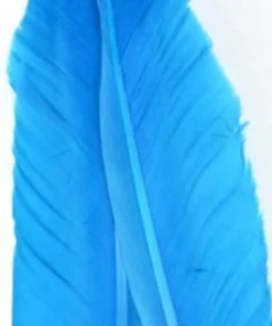 Nature's Spirit Goose Quills